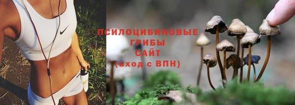 винт Володарск